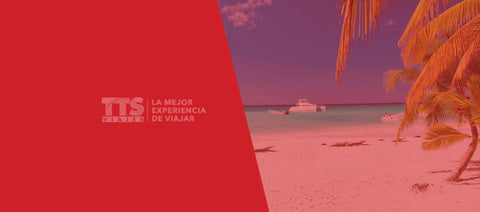 TTS Travel / Success Story