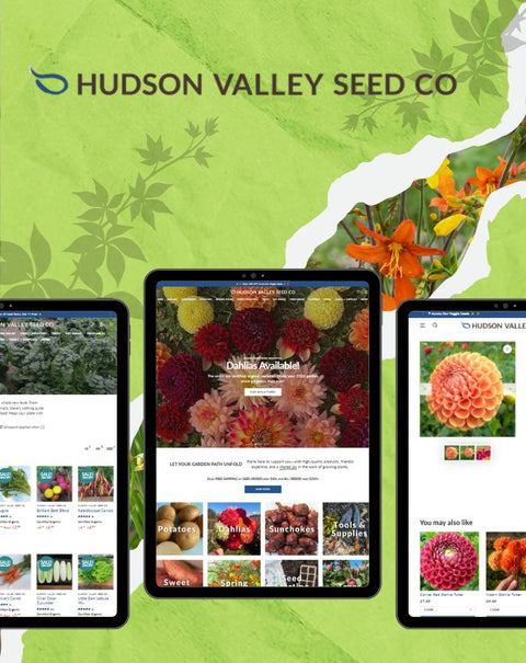 Hudson Valley Seed CO